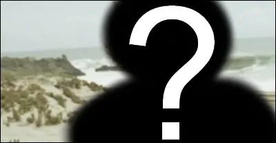 Qui chante en premier ?