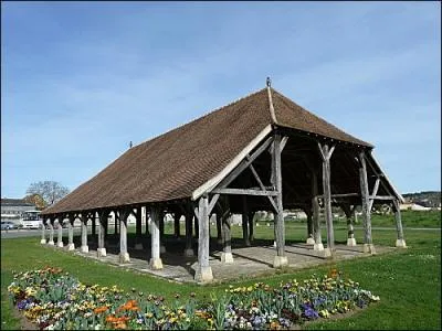 Maintenant direction  l'ouest pour rejoindre Scorb-Clairvaux, superbe bourg o vous admirerez des Halles  grains du onzime sicle(photo) et visiterez un chteau renfermant :