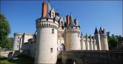 Nous redescendons vers le sud pour rejoindre le Clain  Dissay et admirer un splendide chteau construit grce  Pierre d'Amboise, que referme-t-il ?