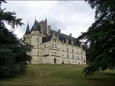 En remontant vers Chtellerault, jetons un coup d'oeil au joli chteau de Chitr, en 1930, la vicomtesse Delestrange y donna de fastueuses rceptions, qui y assista ?