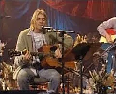 Quelles reprises des Meat Puppets sont interprtes par Nirvana pendant ce concert acoustique ?