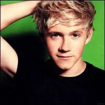 Quelle chanson Niall James Horan a-t-il chante dans  X Factor  ?