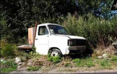 De quelle marque est cet utilitaire ?