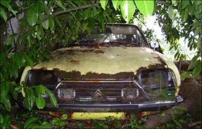 De quel modle s'agit-il sur cette photo ?