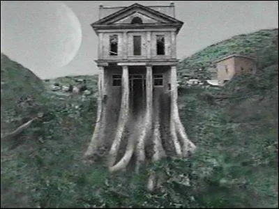 De quelle série est issue cette image ?