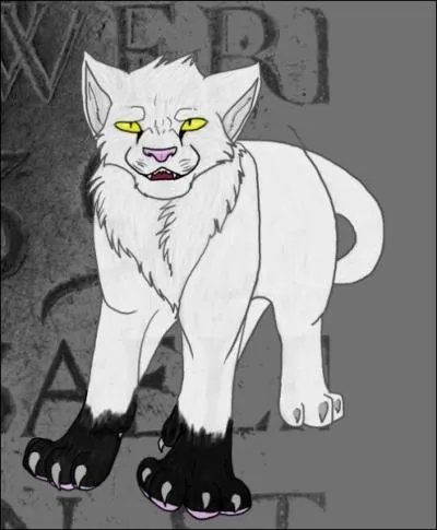 Comment s'appelle ce chat ?