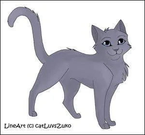 Chatte gris-bleu lgante... Pas besoin d'en dire plus, tout le monde sait qui c'est...