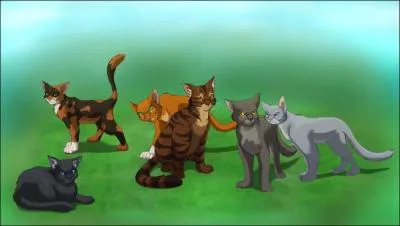 Qui sont ces 6 chats de gauche  droite ?