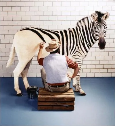 Vous repeignez votre zbre en 30 min; votre femme arrive au mme rsultat en 60 min. Combien de temps vous faudra-il pour repeindre ce zbre si vous vous y mettez tous les deux ?