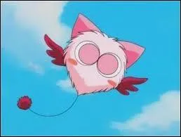 Qui est ce petit robot ?