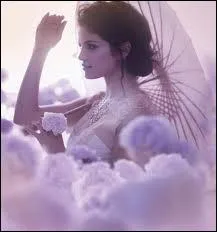 Est-ce Selena qui a crit la chanson ?