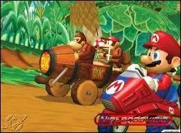 De quel circuit vient cette image ?