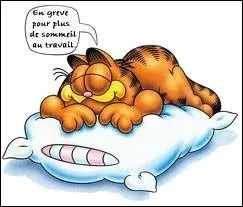 (Comme ce chat le fait) , c'est con ...