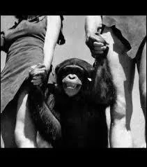 (elle donne la main  Tarzan) c'est con ...