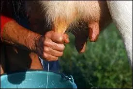 Le mot commence par : C'est con ...