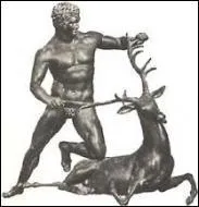 De quel animal s'agissait-il ?