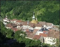 Les habitants de Salins-les-Bains se font appeler les ...