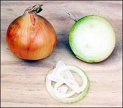 De quel continent est originaire l'oignon ?