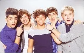 Quel est le membre qui a dit : ''Ce qu'il y a de mieux dans la clbrit, c'est de dormir dans de magnifiques htels et dans des lits ultraconfortables. '' ?