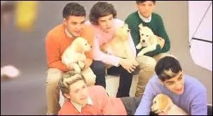 Lequel de la bande a dit : ''Je viens de regarder  Le Roi lion  dans l'avion et je pense sincrement que c'est le plus grand film qui ait jamais t ralis ! '' ?