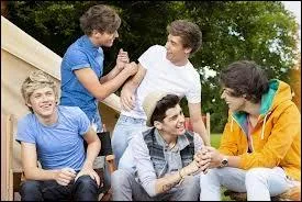 Lequel a dit cette belle phrase : ''La fille la plus chanceuse au monde sera la future petite copine de Niall. '' ?