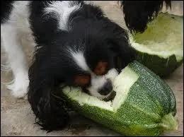 Quel est son dfaut ?