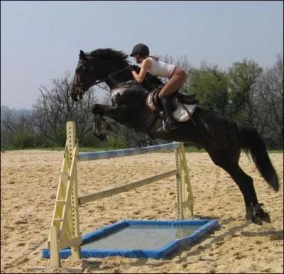 Dans un tablissement questre affili  la F. F. E, on ne peut pratiquer que le dressage et le saut d'obstacles :