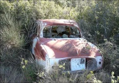 De quel modle s'agit-il sur cette photo ?