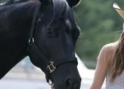 Quiz Quiz 'Heartland'