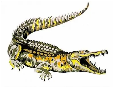 Quelle est cette marque ?