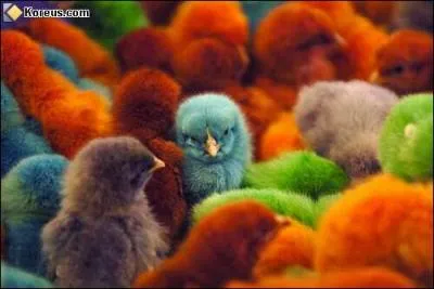 Quelle couleur est une couleur chaude ?