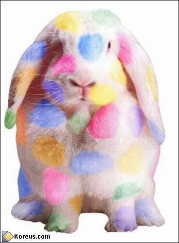 Quelle couleur est une couleur froide ?