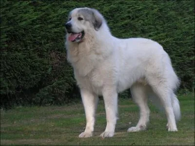 Le montagne des Pyrnes est connu sous plusieurs noms mais lequel de ceux-ci en fait partie ?