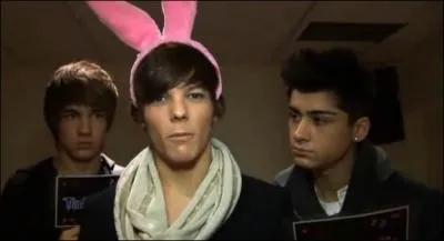 Qui des cinq 1D gagne constamment les  Quickfire questions  ?