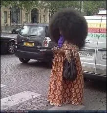 Dans la srie coiffures excentriques, voici un exemple trs consquent. Il s'agit d'une coupe dite... ?