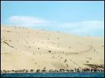 Elle mesure 2700m de long sur une largeur de 500m  la base. Ne de la runion de deux systmes dunaires, la dune du Pilat (ou Pyla) est situe ...