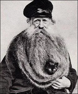 Le chat, le vieil homme et la sieste : trouvez la fausse proposition...