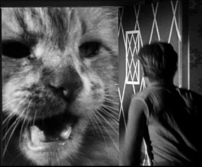 4 expressions imaginaires, trouvez la vraie :