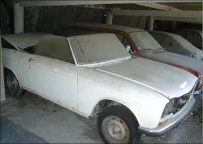 De quel modle s'agit-il sur cette photo ?