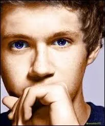 Que fait toujours Niall ?