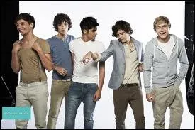 Qui se regarde toujours dans un miroir ?