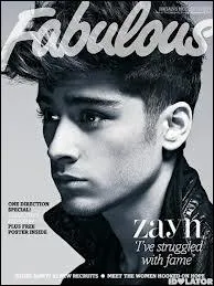 Quelle est la couleur prfre de Zayn ?