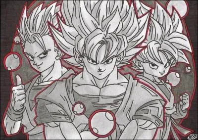 Son Goku a un fils qui s'appelle...