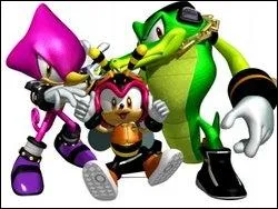 Vector apparat-il dans  Sonic Rush  ?