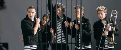 Selon Ed Sheeran, les One Direction seraient en prison sans la prsence de ...