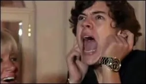 De quoi Harry a-t-il le plus peur ?