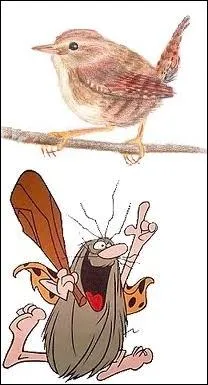 Quel est le point commun entre ce passereau et cet homme des cavernes ?