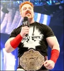 Il est toujours champion du monde poids lourds.