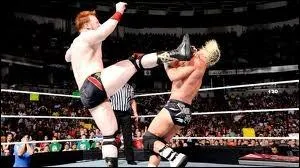 Son terrible finisher se nomme Brogue Kick.