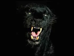 Quelle est cette couleur ?